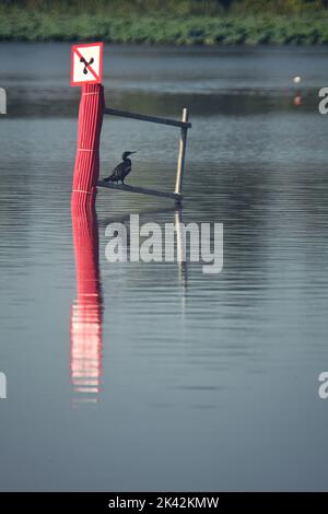 Bouée sur un lac au coucher du soleil Banque D'Images