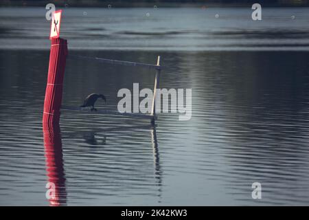 Bouée sur un lac au coucher du soleil Banque D'Images
