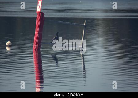 Bouée sur un lac au coucher du soleil Banque D'Images