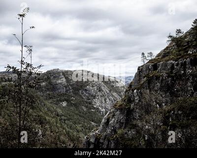 Paysage près de la falaise de Preikestolen en Norvège, Europe. Banque D'Images