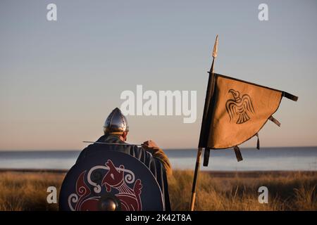 Guerrier viking debout sur une plage avec une bannière montrant le corbeau et le shaged de Fenrir le loup Banque D'Images