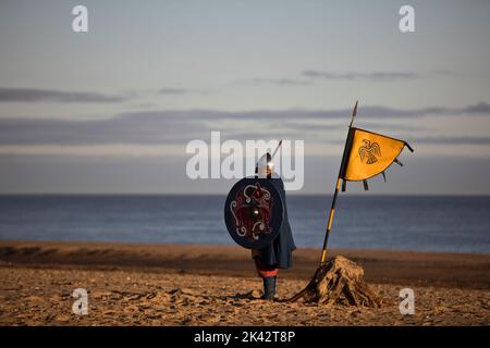 Guerrier viking debout sur une plage avec une bannière montrant le corbeau et le shaged de Fenrir le loup Banque D'Images