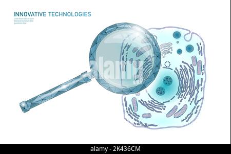 La structure de la cellule animale sciences de l'éducation. 3d Microscope noyau eucaryote Technologie de médecine d'organite analyse. L'affiche de la biologie d'un bleu éclatant Illustration de Vecteur