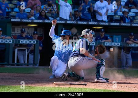 25 septembre 2022: Le capteur de Kansas City MJ Melendez (1) a fait une course pendant le match avec les Mariners de Seattle et les Royals de Kansas City qui se sont tenus au stade Kauffman dans le Missouri de kansas City David Seelig/Cal Sport Medi Banque D'Images