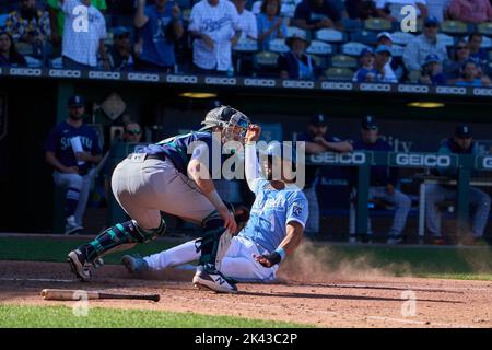 25 septembre 2022: Le capteur de Kansas City MJ Melendez (1) a fait une course pendant le match avec les Mariners de Seattle et les Royals de Kansas City qui se sont tenus au stade Kauffman dans le Missouri de kansas City David Seelig/Cal Sport Medi Banque D'Images