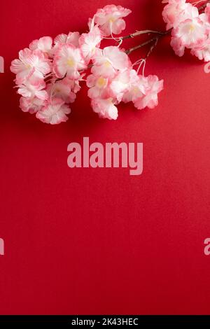 Composition de gros plan de cerisiers en fleurs sur fond rouge Banque D'Images