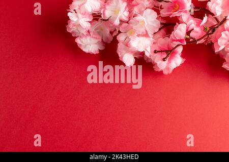 Composition de gros plan de cerisiers en fleurs sur fond rouge Banque D'Images