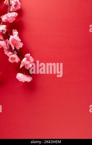 Composition de gros plan de cerisiers en fleurs sur fond rouge Banque D'Images