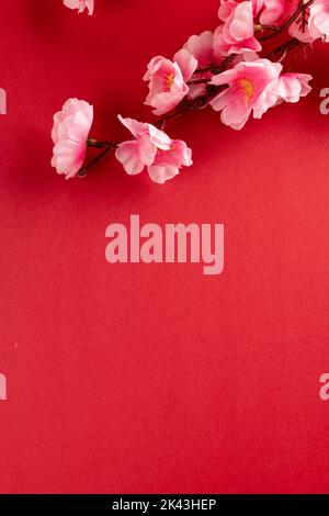 Composition de gros plan de cerisiers en fleurs sur fond rouge Banque D'Images