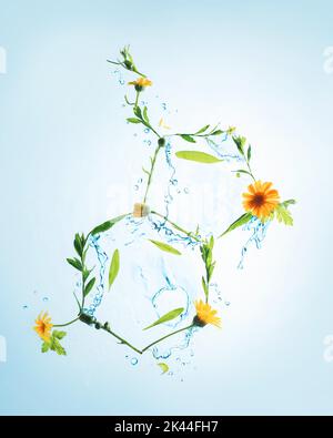 La molécule de sérotonine des fleurs et des éclaboussures d'eau, joie de l'été concept Banque D'Images