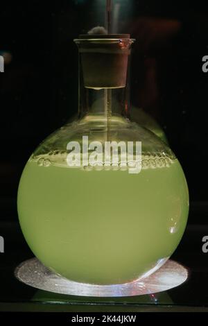 Flacon de laboratoire à fond rond isolé sur fond noir Banque D'Images