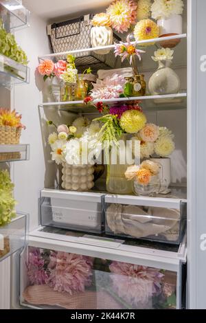 Réfrigérateur plein de différentes fleurs coupées Banque D'Images