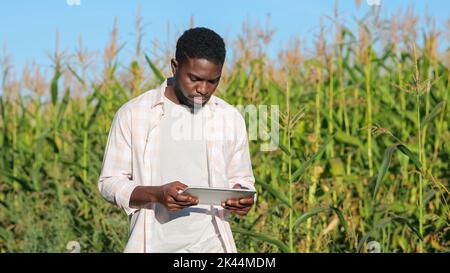 Un homme afro-américain passe devant un champ pour examiner une plantation Banque D'Images