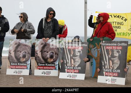 Sydney, Australie. 30th septembre 2022. À l'occasion de la Journée Save the Koala, des manifestants ont organisé un rassemblement pour demander l'intervention du ministre de l'Environnement, James Griffin. Ils disent qu'il devrait faire son travail et sauver les koalas de l'extinction. Les manifestants disent qu'après que 60 000 koalas aient été brûlés vifs dans les feux de brousse de l'été noir, après que le défrichement ait augmenté de 60 % en Nouvelle-Galles du Sud depuis 2017, après que les koalas aient (enfin) été répertoriés comme étant en danger de disparition, notre ministre de l'Environnement et député de Manly ne dit toujours rien faire. Photo : des manifestants à la plage de Manly avant la marche. Credit: Richard Milnes/Alamy Live News Banque D'Images