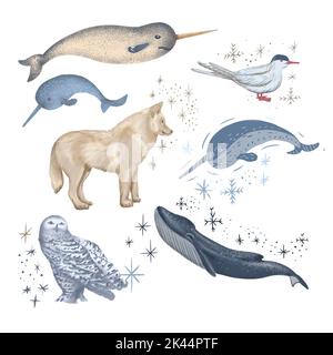 animaux de l'arctique nature monde sauvage froid nord mignon dessin animé glace flocon de neige ours polaire muskox cachalot scribe main Banque D'Images