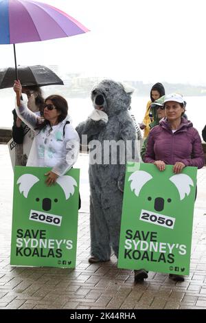 Sydney, Australie. 30th septembre 2022. À l'occasion de la Journée Save the Koala, des manifestants ont organisé un rassemblement pour demander l'intervention du ministre de l'Environnement, James Griffin. Ils disent qu'il devrait faire son travail et sauver les koalas de l'extinction. Les manifestants disent qu'après que 60 000 koalas aient été brûlés vifs dans les feux de brousse de l'été noir, après que le défrichement ait augmenté de 60 % en Nouvelle-Galles du Sud depuis 2017, après que les koalas aient (enfin) été répertoriés comme étant en danger de disparition, notre ministre de l'Environnement et député de Manly ne dit toujours rien faire. Photo : des manifestants à la plage de Manly avant la marche. Credit: Richard Milnes/Alamy Live News Banque D'Images