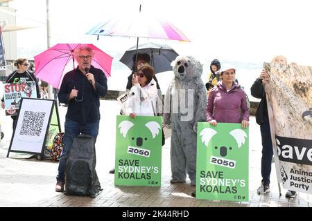 Sydney, Australie. 30th septembre 2022. À l'occasion de la Journée Save the Koala, des manifestants ont organisé un rassemblement pour demander l'intervention du ministre de l'Environnement, James Griffin. Ils disent qu'il devrait faire son travail et sauver les koalas de l'extinction. Les manifestants disent qu'après que 60 000 koalas aient été brûlés vifs dans les feux de brousse de l'été noir, après que le défrichement ait augmenté de 60 % en Nouvelle-Galles du Sud depuis 2017, après que les koalas aient (enfin) été répertoriés comme étant en danger de disparition, notre ministre de l'Environnement et député de Manly ne dit toujours rien faire. Photo : des manifestants à la plage de Manly avant la marche. Credit: Richard Milnes/Alamy Live News Banque D'Images