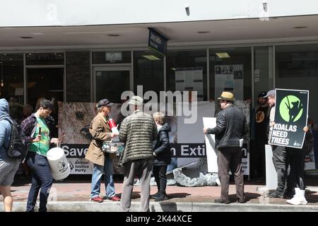 Sydney, Australie. 30th septembre 2022. À l'occasion de la Journée Save the Koala, des manifestants ont organisé un rassemblement pour demander l'intervention du ministre de l'Environnement, James Griffin. Ils disent qu'il devrait faire son travail et sauver les koalas de l'extinction. Les manifestants disent qu'après que 60 000 koalas aient été brûlés vifs dans les feux de brousse de l'été noir, après que le défrichement ait augmenté de 60 % en Nouvelle-Galles du Sud depuis 2017, après que les koalas aient (enfin) été répertoriés comme étant en danger de disparition, notre ministre de l'Environnement et député de Manly ne dit toujours rien faire. Photo : des manifestants devant le bureau du ministre de l'Environnement James Griffin, au 2, rue Wentworth, Manly. Crédit Banque D'Images