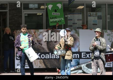 Sydney, Australie. 30th septembre 2022. À l'occasion de la Journée Save the Koala, des manifestants ont organisé un rassemblement pour demander l'intervention du ministre de l'Environnement, James Griffin. Ils disent qu'il devrait faire son travail et sauver les koalas de l'extinction. Les manifestants disent qu'après que 60 000 koalas aient été brûlés vifs dans les feux de brousse de l'été noir, après que le défrichement ait augmenté de 60 % en Nouvelle-Galles du Sud depuis 2017, après que les koalas aient (enfin) été répertoriés comme étant en danger de disparition, notre ministre de l'Environnement et député de Manly ne dit toujours rien faire. Photo : des manifestants devant le bureau du ministre de l'Environnement James Griffin, au 2, rue Wentworth, Manly. Crédit Banque D'Images