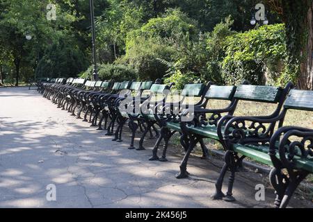 Longue rangée de chaises historiques (vides) dans le parc Cișmigiu à Bucarest, Roumanie Banque D'Images