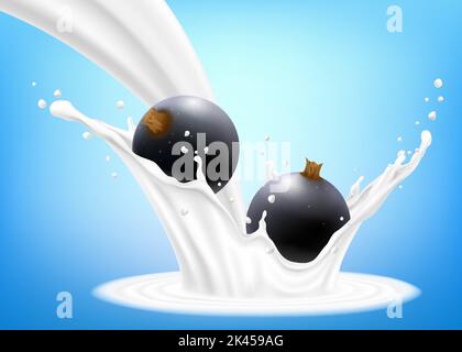 Cassis dans une éclaboussure de lait ou de yaourt. Les baies fraîches tombent dans le lait. 3d illustration vectorielle réaliste, isolée sur fond bleu. Mets sucrés Illustration de Vecteur