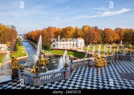 Peterhof, Saint-Pétersbourg, Russie - 06 octobre 2021: Parc inférieur de Peterhof en automne. Vue depuis la terrasse du palais jusqu'à la fontaine Samson Banque D'Images