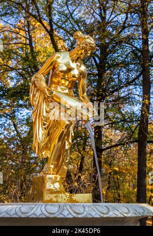 Peterhof, Saint-Pétersbourg, Russie - 06 octobre 2021 : la fontaine Danaid dans le parc inférieur de Peterhof. Statue dorée d'une femme versant de l'eau d'un Banque D'Images