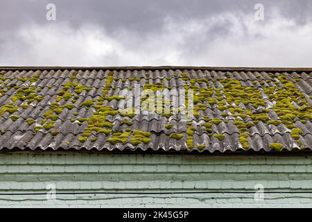 Toit carrelé d'une maison recouverte de mousse verte. Photo de haute qualité Banque D'Images