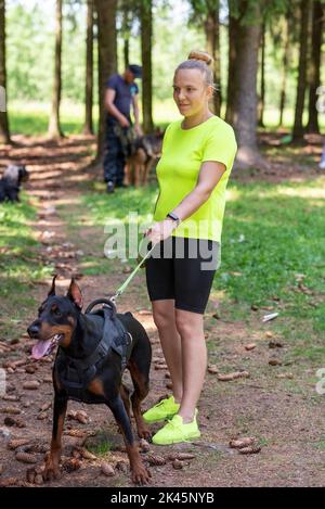 Doberman en colère contre la maîtresse, en formation avec un cynologue. Photo de haute qualité Banque D'Images