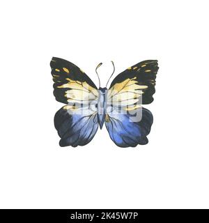 Papillons. Illustration aquarelle de papillons multicolores. Insectes pour invitation et carte postale. Banque D'Images
