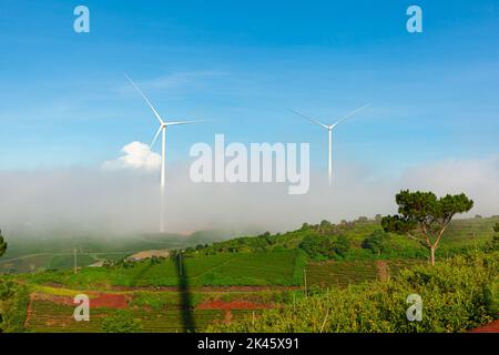 Éoliennes à énergie renouvelable, moulin à vent isolé sur le magnifique ciel bleu, les nuages blancs et sur les champs de thé de la ville de Da Lat, Lam Dong, Viet Nam Banque D'Images