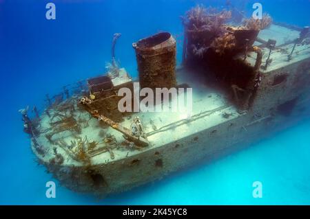 Wreck of the Prince Albert in Roatan a été un navire à passagers pendant des années jusqu'à ce qu'il soit abandonné et transformé en une attraction de plongée sous-marine. Banque D'Images