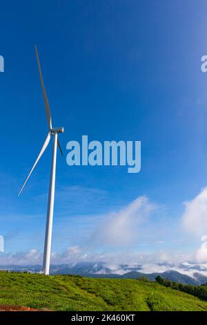 Éoliennes à énergie renouvelable, moulin à vent isolé sur le magnifique ciel bleu, les nuages blancs et sur les champs de thé de la ville de Da Lat, Lam Dong, Viet Nam Banque D'Images