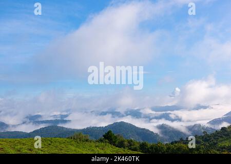 Belle vue de la colline de thé avec la mer des nuages et des montagnes dans la ville de Da Lat, Lam Dong, Viet Nam Banque D'Images