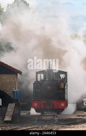 La gare du Crotoy sur le chemin de fer léger de la Baie de somme. Banque D'Images