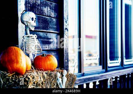 Squelette blanc d'halloween sur un foin, des citrouilles orange et des fenêtres bleues Banque D'Images