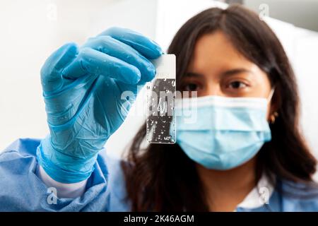 Jeune scientifique féminine regardant une lame d'échantillons de tissus déshydratés en laboratoire. Élimination de la paraffine à base de xylène. Banque D'Images