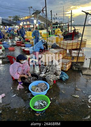 Cho Thanh Ha, marché aux poissons, Hoi an, province de Quang Nam, Vietnam, fruits de mer, magasins Banque D'Images