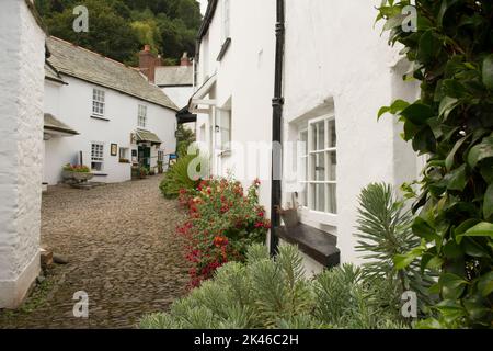 Vieux cottages blancs pittoresques sur une petite rue dans le village de Clovelly, North Devon, Royaume-Uni, août. Banque D'Images