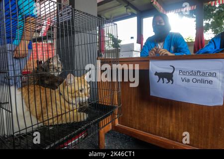 Bogor, Indonésie. 28th septembre 2022. Les gens portent des chats pour enregistrer leurs chats pour une dose d'un vaccin anti-rage pendant la commémoration de la Journée mondiale de la rage 2022 à Bogor, Java Ouest, Indonésie sur 28 septembre 2022. Au total, 700 doses sont préparées pour tous les animaux de la ville de Bogor. (Photo par Andi M Ridwan/INA photo Agency/Sipa USA) crédit: SIPA USA/Alay Live News Banque D'Images