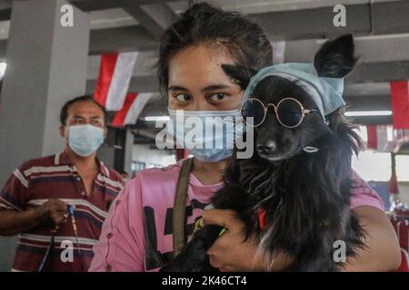 Bogor, Indonésie. 28th septembre 2022. Un chien porte des lunettes lors de la commémoration de la Journée mondiale de la rage 2022 à Bogor, à Java-Ouest, en Indonésie, sur 28 septembre 2022. Au total, 700 doses sont préparées pour tous les animaux de la ville de Bogor. (Photo par Andi M Ridwan/INA photo Agency/Sipa USA) crédit: SIPA USA/Alay Live News Banque D'Images