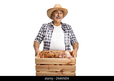 Joyeux fermier mature tenant un petit cochon à l'intérieur d'une caisse en bois Banque D'Images