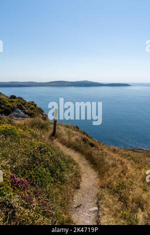 Sentier de randonnée étroit et marqueur de sentier menant le long de la crête de la péninsule de Sheep's Head avec une vue sur la baie de Bantry et Mizen Head Banque D'Images