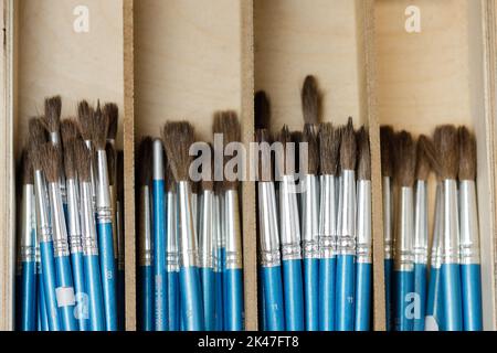 Un groupe de pinceaux d'art pour l'artiste. Nouvelles brosses sur une étagère dans un magasin de papeterie. Banque D'Images