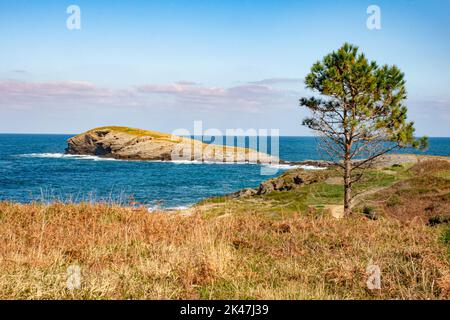 Orinon Whale, sur la plage de Sonabia de Castro Urdiales, Cantabrie - Espagne. Banque D'Images