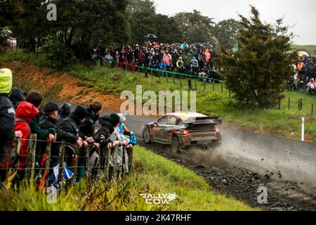 Auckland, Nouvelle-Zélande. 01st octobre 2022. 11 NEUVILLE Thierry (bel), WYDAEGHE Martijn (bel), Hyundai Shell MOBIS World Rally Team, Hyundai i20 N Rally 1, action lors du Rallye Nouvelle-Zélande 2022, 11th tour du Championnat du monde de voitures de rallye WRC 2022, de 29 septembre à 2 octobre 2022 à Auckland, Nouvelle-Zélande - photo Nikos Katikis / DPPI crédit: DPPI Media / Alay Live News Banque D'Images