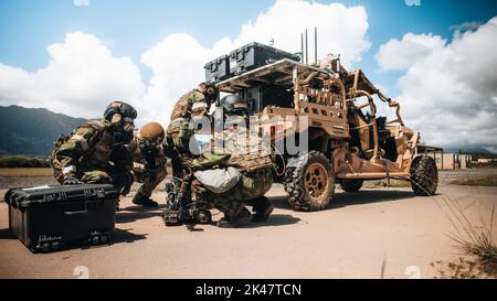 Les Marines des États-Unis avec la défense chimique, biologique, radiologique et nucléaire, 3D Marine littoral Regiment, 3D Marine Division, et les aviateurs de la Garde nationale aérienne d'Hawaï, avec le 647th civil Engineering Squadron, effectuent un exercice conjoint d'élimination des munitions explosives à la zone d'entraînement du corps des Marines Bellows, à Hawaï, le 21 septembre 2022. Les techniciens de la fin de journée de travail de la force conjointe ont mené un exercice de niveau de service conjoint d'une semaine, où les membres du service de service ont été intégrés, formés et ont participé à la compétition les uns avec les autres tout en utilisant la technologie expérimentale. La formation a démontré des progrès dans le corps des Marines des États-Unis Force de Banque D'Images