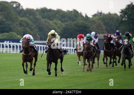 Ascot, Berkshire, Royaume-Uni. 30th septembre 2022. Les cavaliers font la course à l'hippodrome d'Ascot dans les piquets de handicap de Peroni Nastro Azzurro amateur de jockeys Banque D'Images