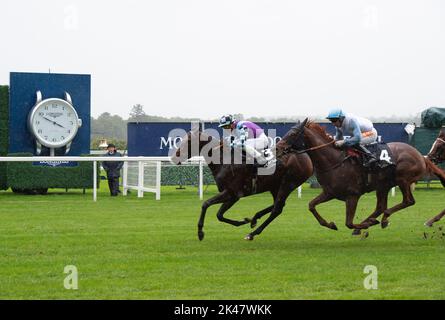 Ascot, Berkshire, Royaume-Uni. 30th septembre 2022. Le cheval El Habeeb monté par le jockey Andrea Atzeni remporte les piquets Peroni Nastro Azzurro Noel Murless à l'hippodrome d'Ascot, battant le cheval Giavellotto monté par le jockey Neil Callan. Propriétaire Mohamed Khalid Abdulrahim. Formateur Kevin Philippart de Foy, Newmarket. Sélectionneur Khalid Abdul Rahim. Crédit : Maureen McLean/Alay Live News Banque D'Images