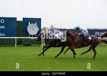 Ascot, Berkshire, Royaume-Uni. 30th septembre 2022. Le cheval El Habeeb monté par le jockey Andrea Atzeni remporte les piquets Peroni Nastro Azzurro Noel Murless à l'hippodrome d'Ascot, battant le cheval Giavellotto monté par le jockey Neil Callan. Propriétaire Mohamed Khalid Abdulrahim. Formateur Kevin Philippart de Foy, Newmarket. Sélectionneur Khalid Abdul Rahim. Crédit : Maureen McLean/Alay Live News Banque D'Images